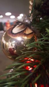 Linn County PF Festival of Trees decorated tree.  Proceeds of the silent auction go towards non profit organizations supported by the Local JayCees.  Thanks to the Corridor Clay Crushers College Trap team with student athletes from Mt Mercy University and Kirkwood Community College.